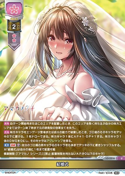 画像1: 結婚式(U)LO-5316 (1)